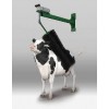 Cow Comfort Brush